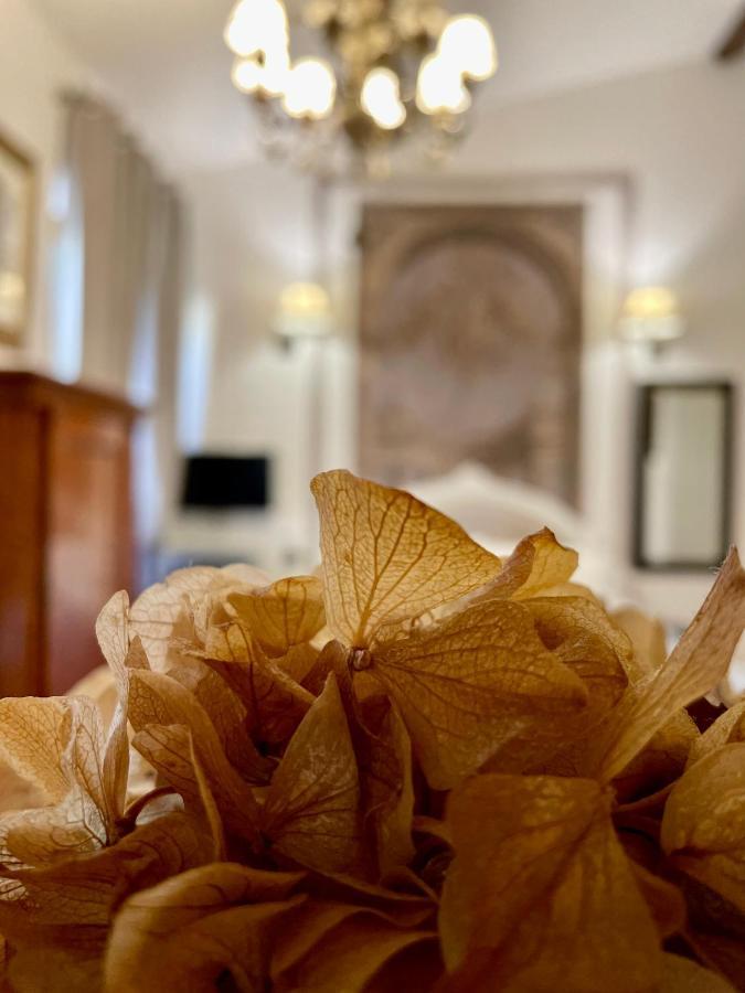 Cestello Luxury Affittacamere Firenze